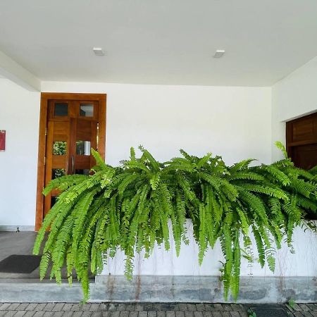The Glen كاندي المظهر الخارجي الصورة